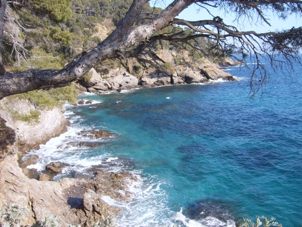 VUE DE LA COTE-D'AZUR