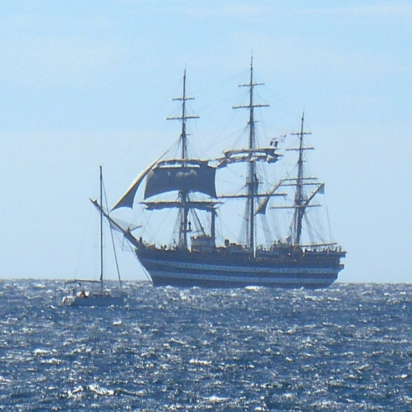 Grands Voiliers - Tall Ships
