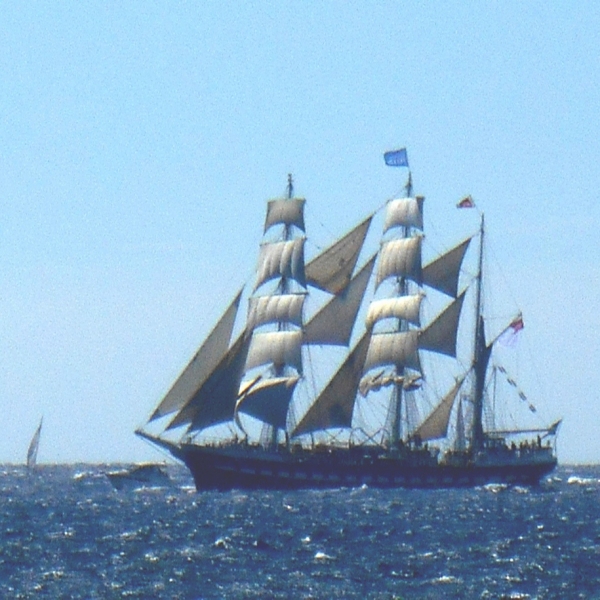 Grands Voiliers - Tall Ships