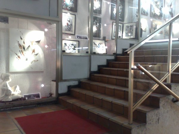 Vue Centre d'Art CRACP-EDMC