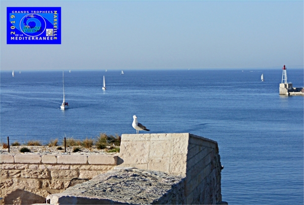 Grands Trophées de la Méditerranée des Styles et des Arts MARSEILLE 2019 - (EDMC)