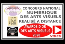 VIDEO CONCOURS NATIONAL NUMERIQUE DES ARTS VISUELS AWARDS D'OR DES ARTS VISUELS 2020 LES ARTISTES LAUREATS Concours réalisé à distance - Télémuséologie & Nouvelles Technologies de l'Information Communication NTIC