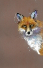  “Renard” - (35x45cm) - Pastel - Pastelmat - 2019, oeuvre de Frédéric STEINLAENDER, peintre, pastelliste, Lauréat du Palmarès.