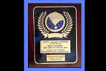 Le Comité du Jury a attribué la Plaquette d'Honneur avec Award Européen des Arts et Styles  à la créatrice ANTO, Antonine RODIER, Cette distinction récompense les œuvres et la démarche esthétique de cette artiste de haut niveau international 