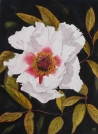 PEINTURE DE ANNIE D'HERPIN  