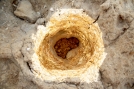 LAND'ART 