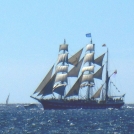 Grands Voiliers - Tall Ships