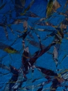 Prolongation exposition Alain DELIC 
