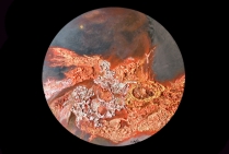 Exposition-Hommage artistique international à la planète Terre PARIS 2019 Cazorla-Cazo
